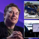 Elon Musk's Tesla unveils robotaxi with 'black box' artificial intelligence technology amid safety concerns