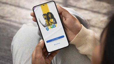 todos-serviços-disponiveis-conta-gov.br-celular-aplicativo